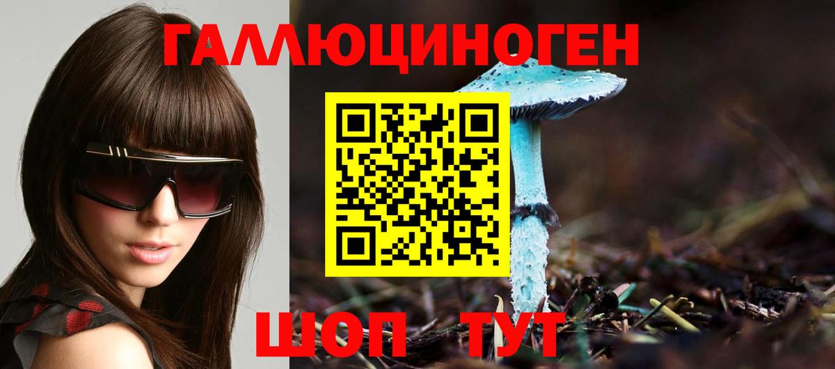 Галлюциногенные грибы Psilocybine cubensis Лосино-Петровский